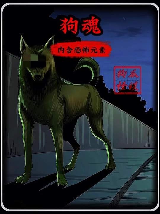 偷狗贼的午夜惊魂记