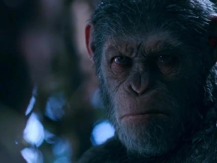 猩球终战：凯撒的复仇与救赎