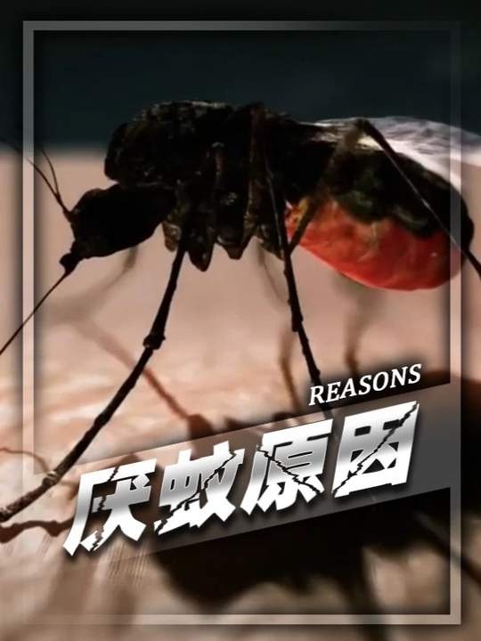 蚊子：人类头号杀手的生存密码
