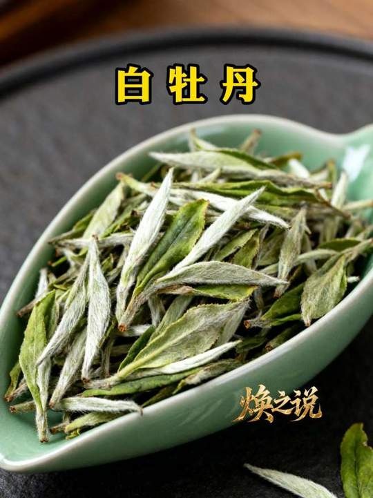 白茶品鉴：岁月沉淀的醇厚本味