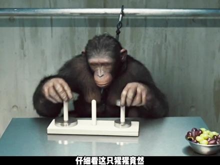 猩球崛起：凯撒的智慧之谜