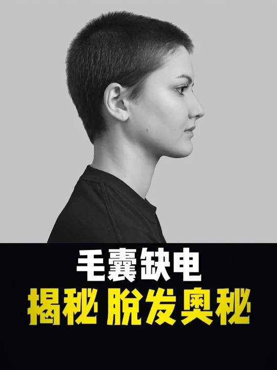 毛囊生物电：头发生长的隐秘钥匙