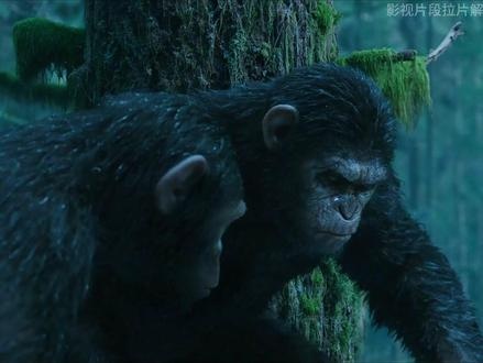 猩猩帝国：智慧与冲突的序章