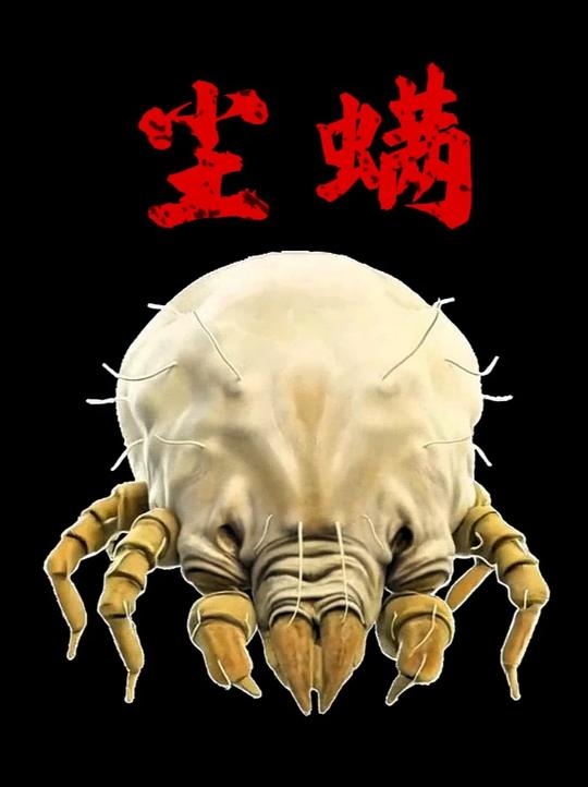 微观世界里的八脚室友