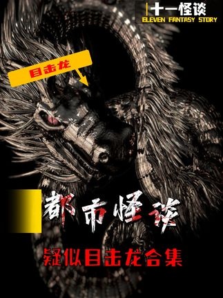 龙影迷踪探秘录