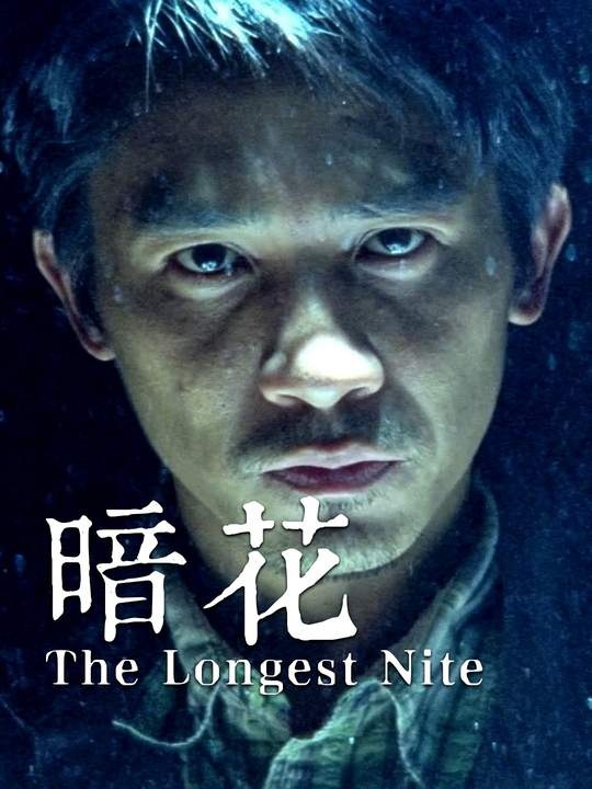 《暗花》暗花：宿命迷局中的双雄对决