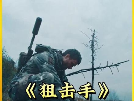 白乌鸦：狙击手的复仇传奇