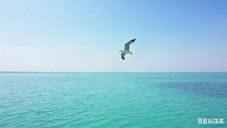 高清视频素材海鸥飞过宁静泻湖广角镜头