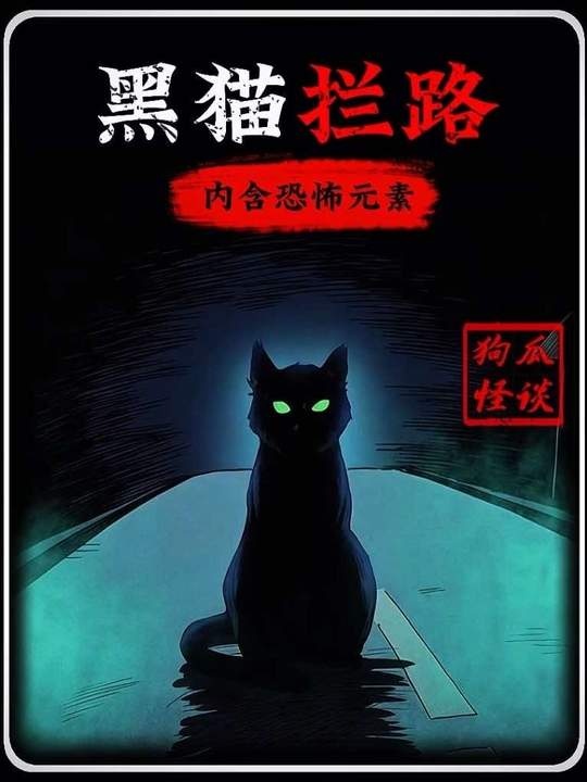 黑猫挡劫