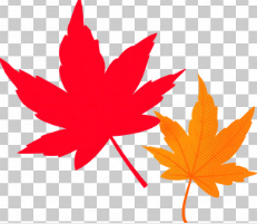免费高清PNG素材库！下载百万级抠图素材，设计必备的利器[吾爱神器]