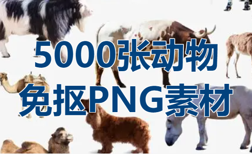 5000多张动物类免抠PNG素材，一键抠图，轻松制作动物主题设计！