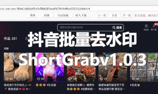 ShortGrab抖音批量去水印v1.0.3