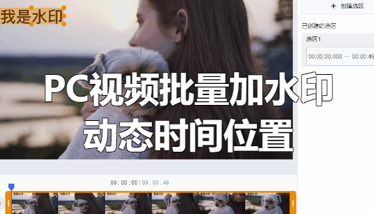 PC视频批量加水印神器 v1.0（动态时间动态位置）