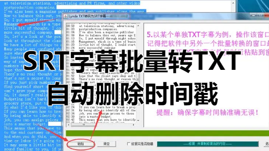 SRT字幕文件批量转TXT（自动删除时间戳）