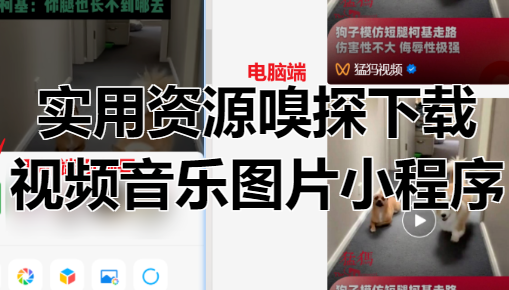 《实用资源嗅探软件》无水印解析批量下载！[吾爱神器]