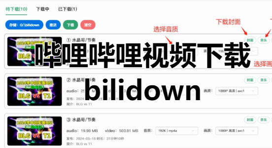 哔哩哔哩视频下载工具bilidown,支持更高质量的视频下载服务![吾爱神器]