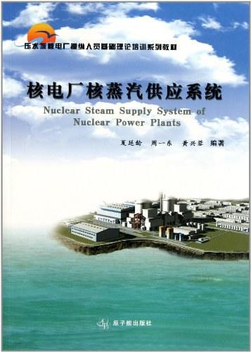 核电厂核蒸汽供应系统