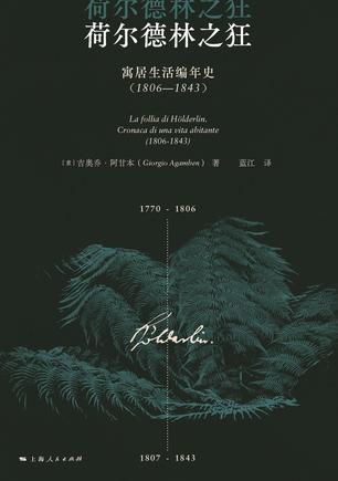 荷尔德林之狂