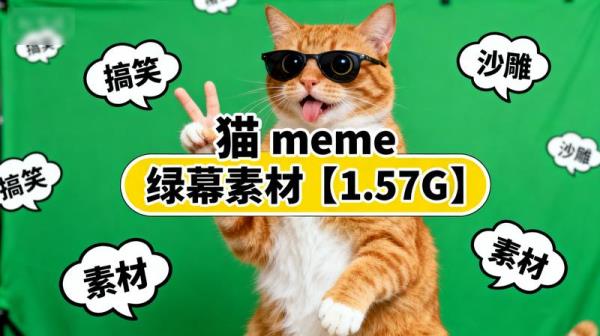 视频素材-猫meme绿幕素材【1.57G】