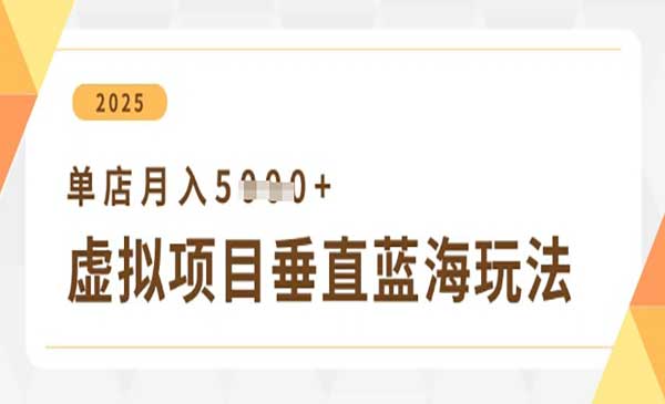 虚拟项目垂直玩法-原创