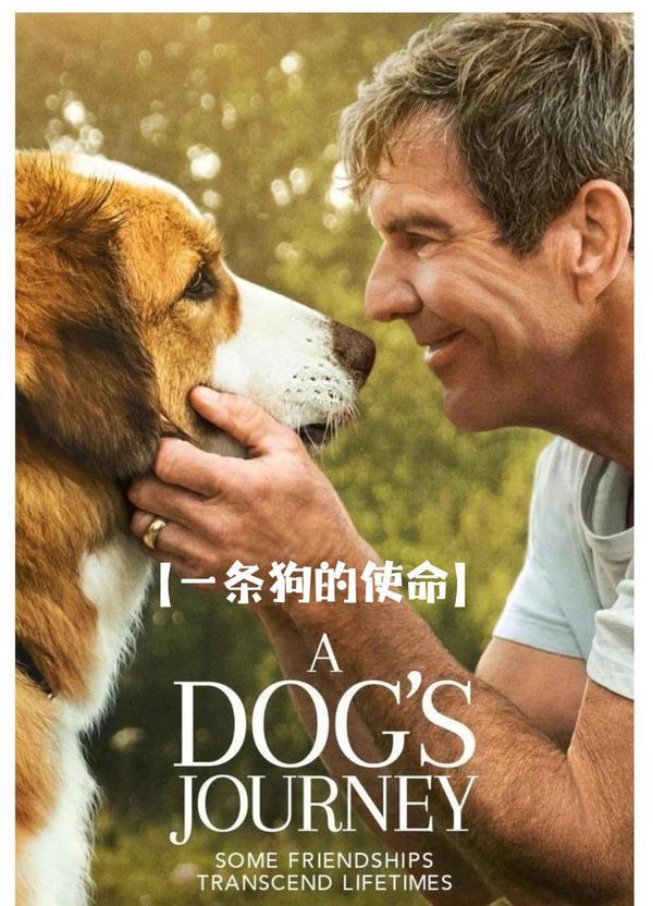 (2017)《一条狗的使命》