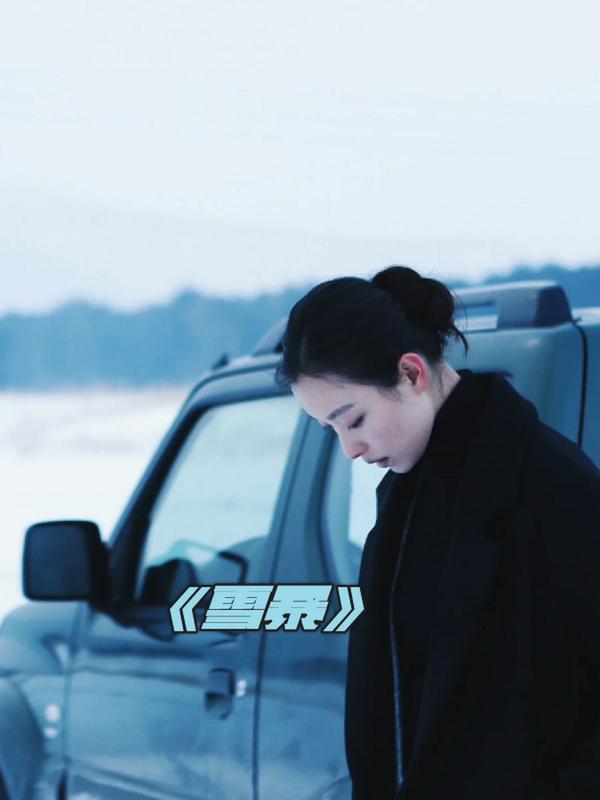 (2018)-雪暴(电影)