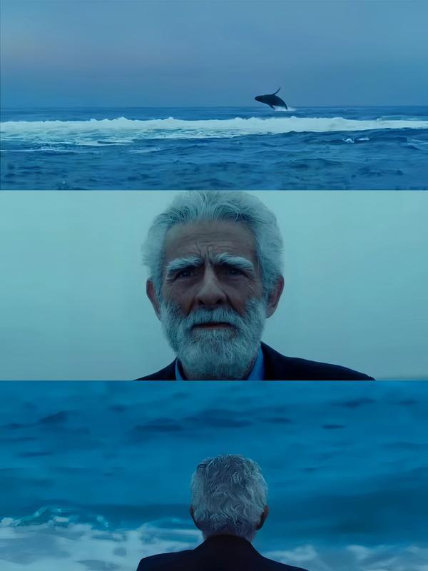 (2017)《遗忘诗行》