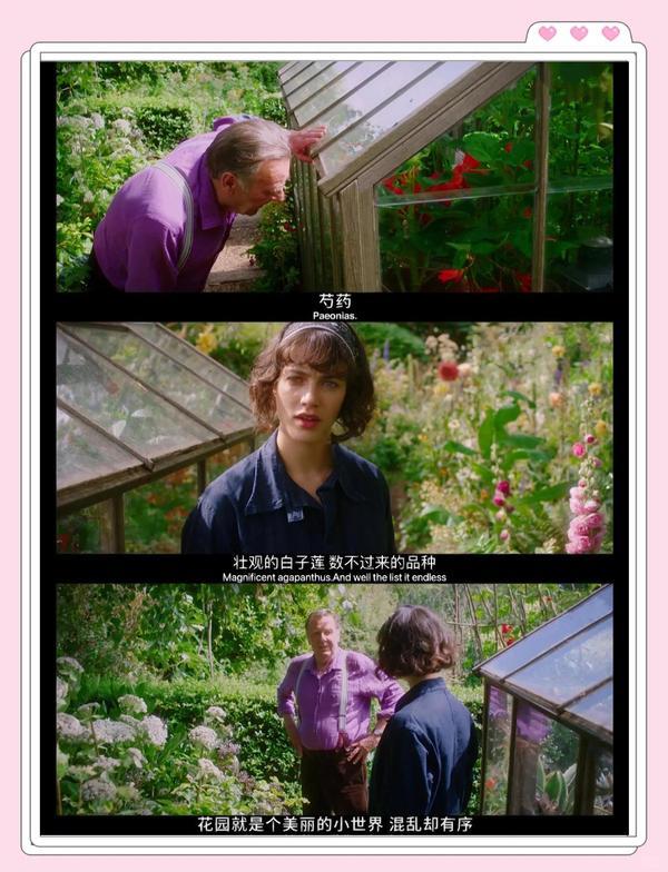 (2016)贝拉的奇幻花园(电影)