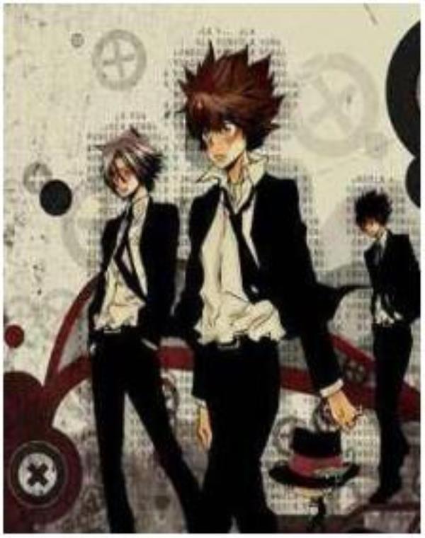 家庭教師 Hitman Reborn最新章节，全文免费在线阅读