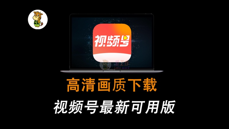 视频号下载神器，支持直播回放下载，操作简单好用