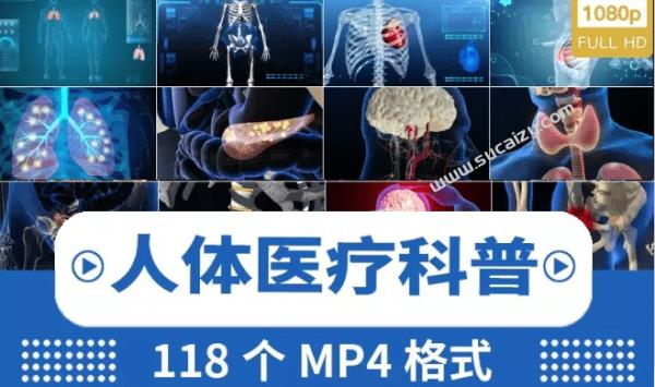 付费购买视频素材！医疗3D演示展示高清动画素材，骨骼人体医学局部动画演示视频，118款高清画质
