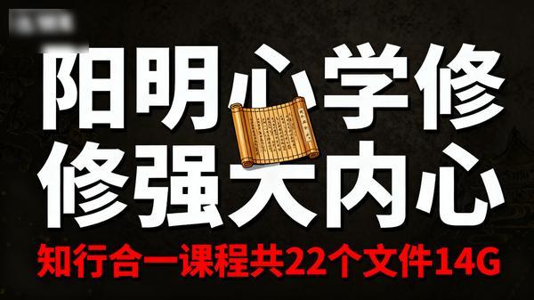 度阴山讲阳明心学修炼强大内心的知行合一课程共22个文件14G
