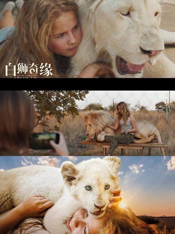 (2018)《白狮奇缘》