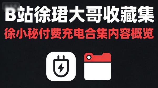 B站徐珺大哥收藏集徐小秘付费充电合集内容概览