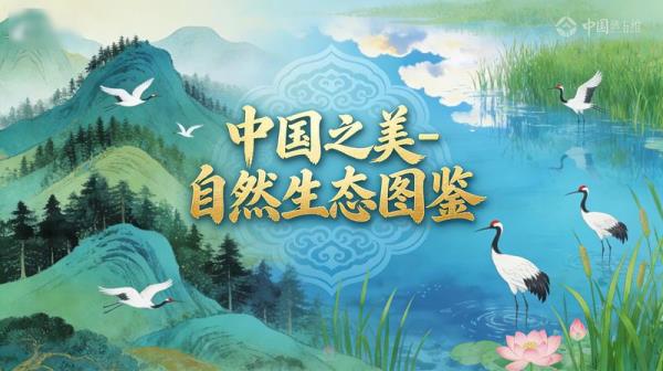 中国之美-自然生态图鉴