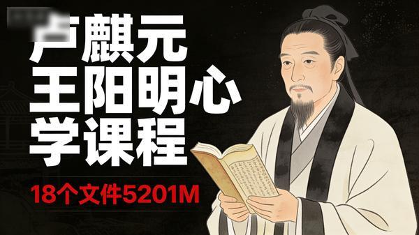卢麒元王阳明心学课程视频共18个文件5201M