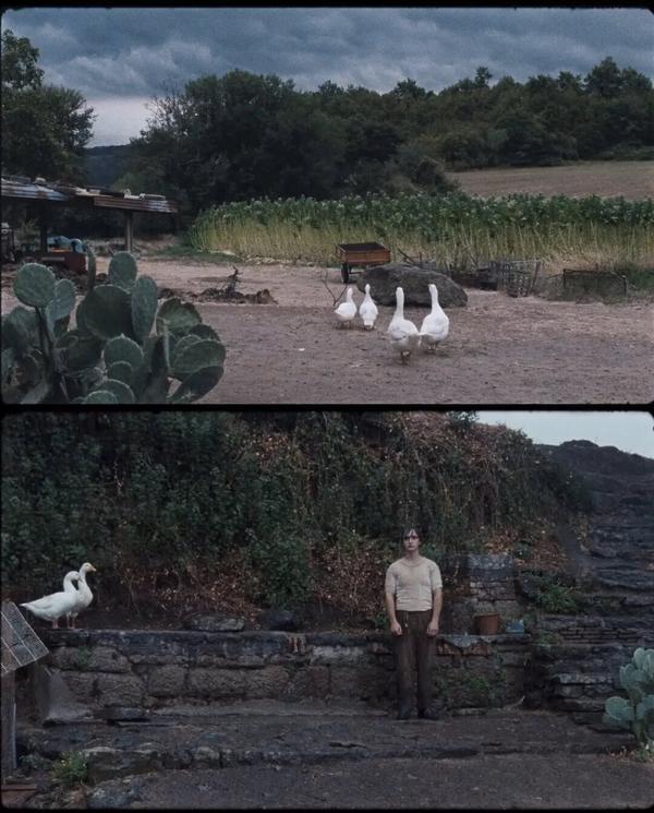 (2018)《幸福的拉扎罗》(电影)