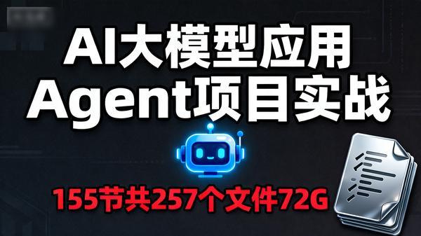 AI大模型应用Agent项目实战155节共257个文件72G