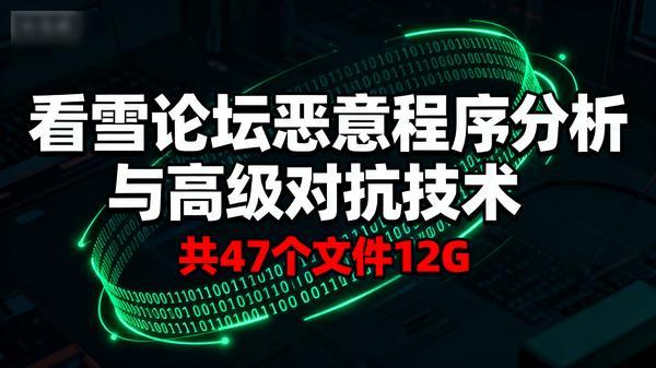 看雪论坛恶意程序分析与高级对抗技术共47个文件12G