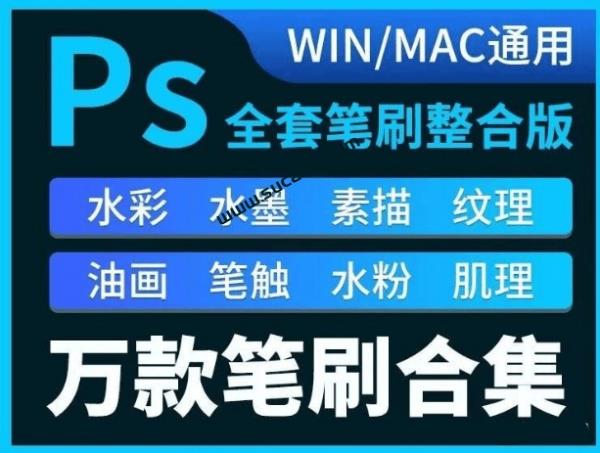 超全！9999款PS笔刷合集，超40GB文件，满足PS所有笔刷需求，分类清晰，可直接使用 支持winmac系统