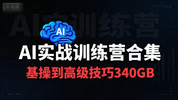 AI实战训练营合集基操到高级技巧340GB