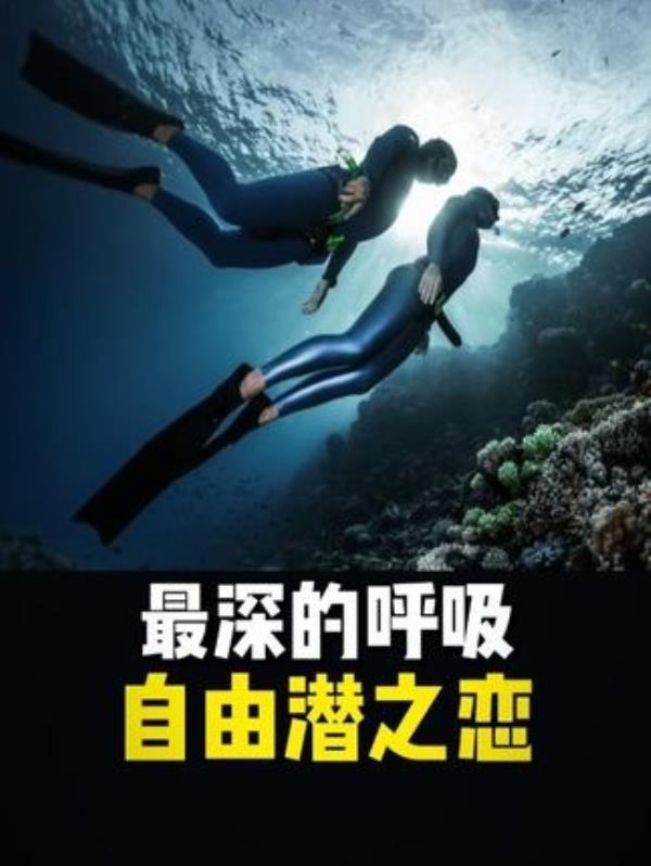 他生命的终点是爱人与大海的怀抱：自由潜水者的挚爱传奇