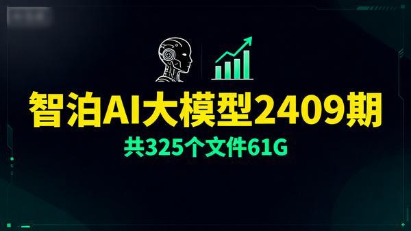 智泊AI大模型2409期共325个文件61G