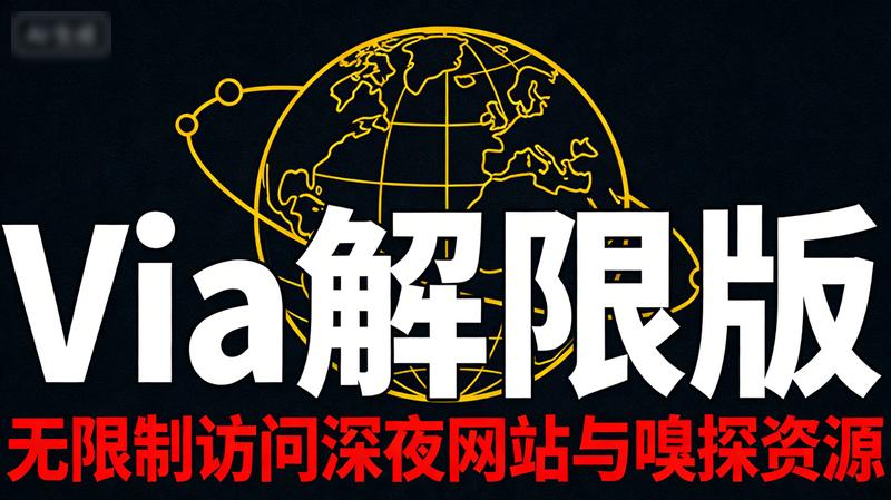 Via解限版：无限制访问深夜网站与嗅探资源