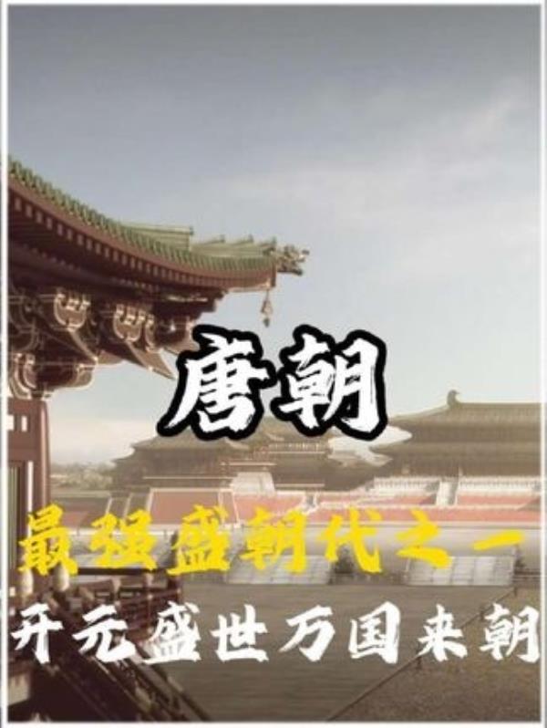 唐朝千年兴衰史：唐朝历史全解读，聚焦李世民与李隆基的时代。