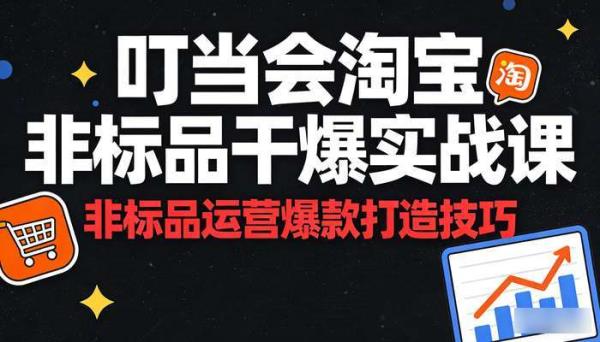 叮当会淘宝非标品干爆实战课 非标品运营爆款打造技巧