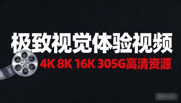 4K 8K 16K极致视觉体验视频 305G高清资源
