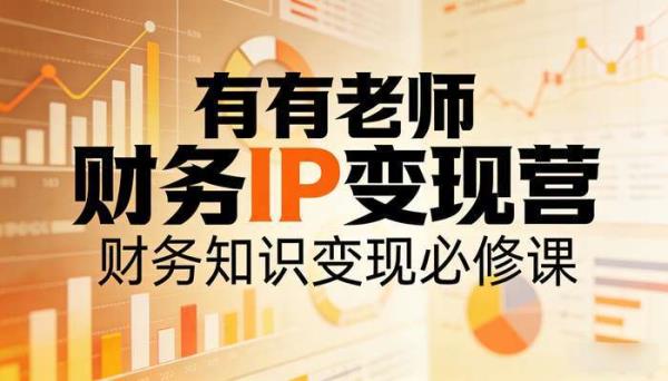 有有老师财务IP变现营 财务知识变现必修课