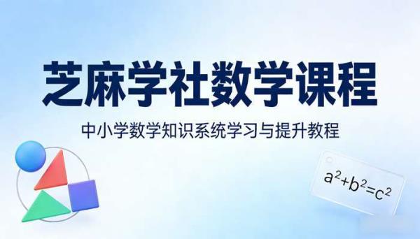 芝麻学社数学课程 中小学数学知识系统学习与提升教程