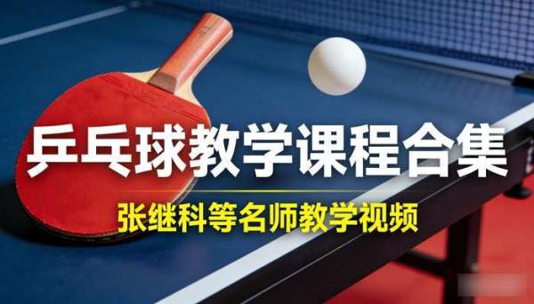 乒乓球教学课程合集 张继科等名师教学视频